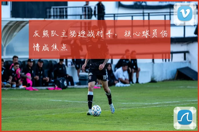 灰熊队主场迎战对手，核心球员伤情成焦点