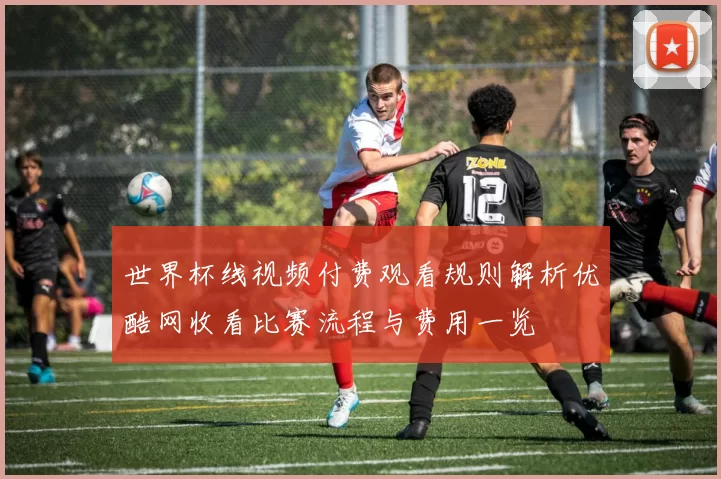 世界杯线视频付费观看规则解析优酷网收看比赛流程与费用一览