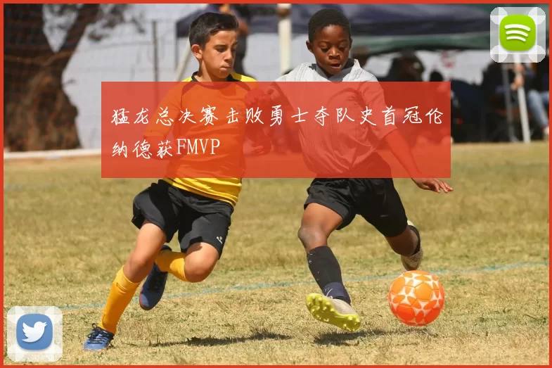 猛龙总决赛击败勇士夺队史首冠伦纳德获FMVP