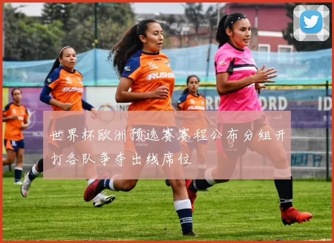 世界杯欧洲预选赛赛程公布分组开打各队争夺出线席位