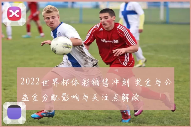 2022世界杯体彩销售冲刺 奖金与公益金分配影响与关注点解读